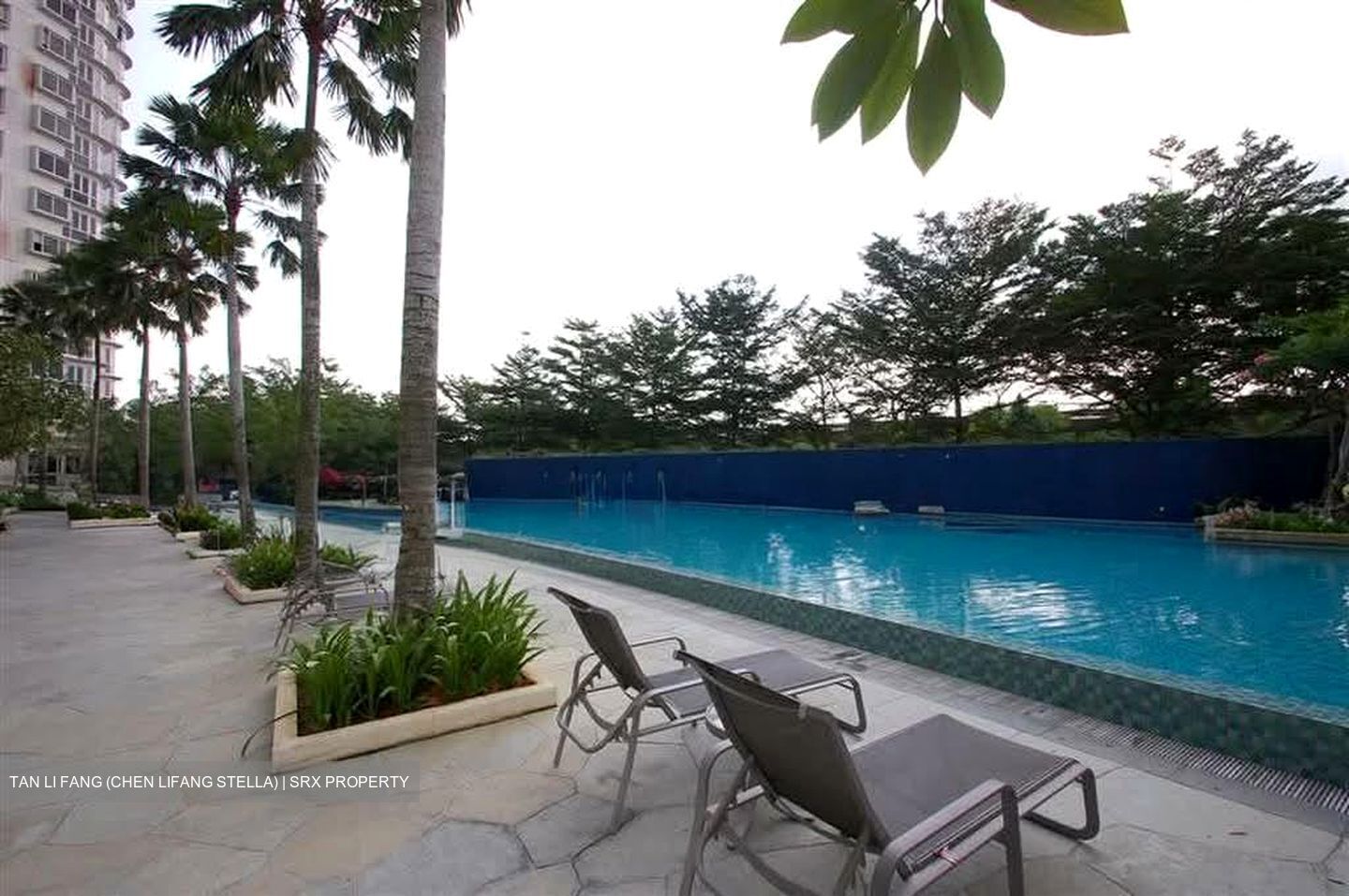 Nuovo (D20), Condominium #564187391